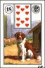 Lenormand Hund